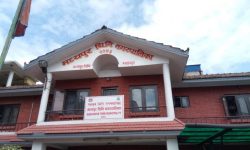 मध्यपुर थिमिका घरघरमा स्वास्थ्यकर्मी, स्वाब सङ्कलन शुरु