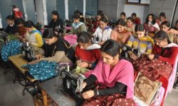 बरेङमा ‘एक घर एक महिला रोजगार’ कार्यक्रम