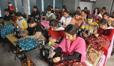 बरेङमा ‘एक घर एक महिला रोजगार’ कार्यक्रम