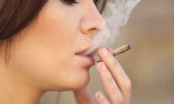 भरतपुर महानगरलाई ध्रुम्रपानरहित शहर बनाईदै