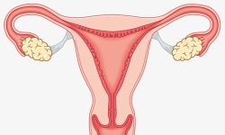 निःशुल्क पाठेघर शिविर