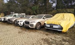 छ सय गाडी भन्सारमा अलपत्र