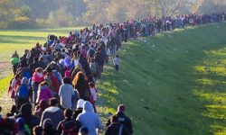 Greece blocks nearly 10,000 migrants at Turkey border