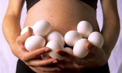 अण्डा र झण्डा अभियान साथसाथ