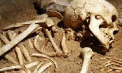 हराएको सात महिनापछि  कङ्काल फेला