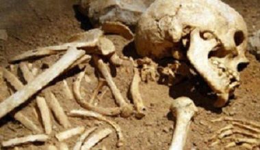 हराएको सात महिनापछि  कङ्काल फेला