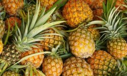 लकडाउन प्रभाव : तीस हजार भुइँकटहर नबिकेर बोटमै कुहिने अवस्थामा