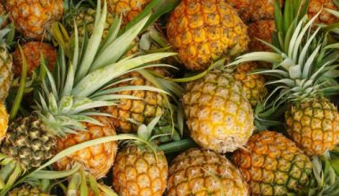 लकडाउन प्रभाव : तीस हजार भुइँकटहर नबिकेर बोटमै कुहिने अवस्थामा