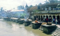 बन्दाबन्दीपछि पशुपतिमा  घट्न थाले शव