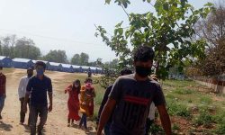 वीरेन्द्रनगर क्वारेन्टाइनका १८३ घर फिर्ता