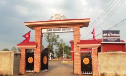 लुम्बिनी बौद्ध विश्वविद्यालयमा अनलाइन पढाइ शुरु