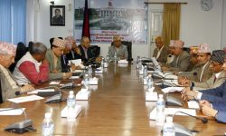 कोरोना संक्रमणको उच्च जोखिम जिल्लामा र्‍यापिड किटमार्फत शीघ्र परीक्षण गरिने