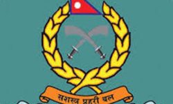 नेपाल प्रहरीको तह र दर्जा थप्न प्रस्ताव