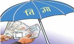 बीमाप्रति किसानको बढ्दो आकर्षणः पीडित स्याउ किसानले पाए क्षतिपूर्ति