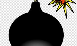 गोठाला गएका रोल्पाका चार बालबालिकाको बम बिष्फोटमा मृत्यु