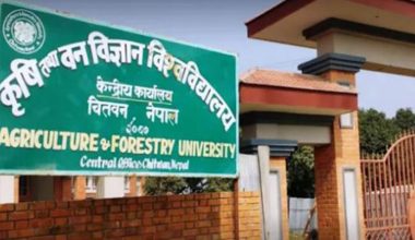 कृषि विश्वविद्यालयले उत्पादन ग¥यो तितेपाती स्यानिटाइजर