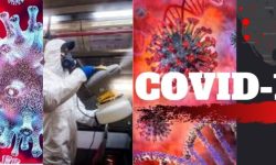 कोरोना अपडेट : आज थप १९ जनामा संक्रमण, कुल संक्रमितको संख्या ६ सय नाघ्यो, ८७ जना निको भए