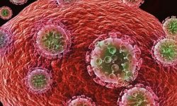 म्याग्दीमा पनि फेला प¥यो कोरोना