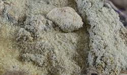 कुहिएको चामल राहतमा