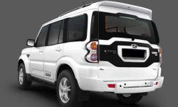 लकडाउन : युवाले रोके दुई सरकारी गाडी