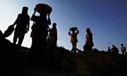 रोजगारी गुमाएका १४ हजारलाई माइतीको खाना