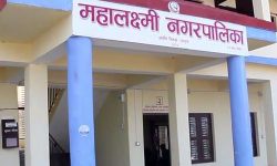 महालक्ष्मीमा ‘थ्रोट स्वाब’ नमूना सङ्कलन