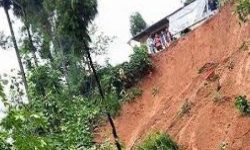 विस्थापितका पीडा ‘बाली भित्र्याउन पाइएन’