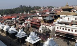 लकडाउनमा पशुपतिः साधुसन्तलाई खाना अभाव, साँढे मन्दिर बाहिरै