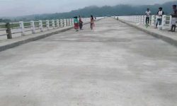 हुलाकी राजमार्गमा २० पुल समस्याग्रस्त