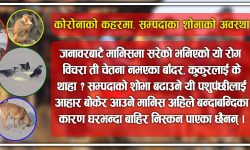 कोरोनाको कहरमा, सम्पदाका शोभाको कारुणिक अवस्था
