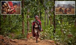 कोरोना : कस्तो छ राउटे जातिको अवस्था ?