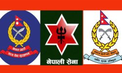 कोरोना : यसरी सक्रिय छन् सुरक्षा निकाय