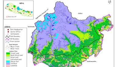 लकडाउनको मौका छोपेर निकुञ्ज क्षेत्रमा चोरी तस्करी