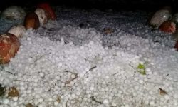 असिनाले करोडौँको बालीमा नोक्सान