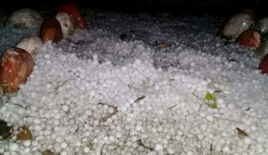 असिनाले करोडौँको बालीमा नोक्सान