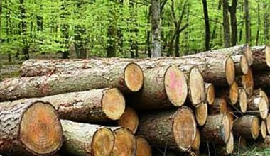 लकडाउनमा तस्करी बढ्यो