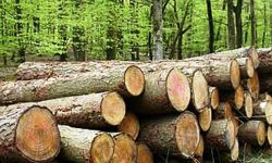 लकडाउनको मौका छोपी काठ तस्करी