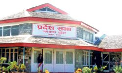 क्वारेन्टाइन व्यवस्थित गर्दै पीसीआरको दायरा बढाउनुपर्ने सांसदको माग