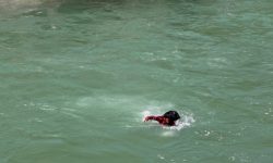 महाकाली तरेर भित्रिए छ नेपाली