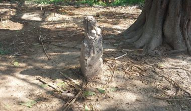 सर्लाहीको दशगजा क्षेत्र दिनदिनै अतिक्रमणको चपेटामा