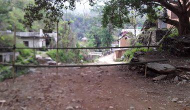 कोरोना त्रास साघुँटार बजार सिल