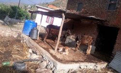 वातावरण संरक्षण परियोजनाले लकडाउको बेलामा पनि सञ्चालन गदै आएका कार्यक्रमलाई अगडि बढाउने