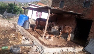 वातावरण संरक्षण परियोजनाले लकडाउको बेलामा पनि सञ्चालन गदै आएका कार्यक्रमलाई अगडि बढाउने