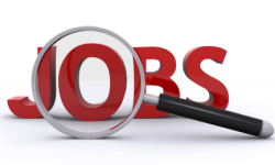 आउँदो वर्ष २० लाख रोजगारी सिर्जना गर्ने सरकारको तयारी