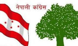 लगानी, पूर्वाधार र रोजगार दृष्टिकोण समिति गठन