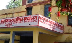 राहतमा कुहिएको चामल वितरण गरेको गुनासो, फर्मलाई कालो सूचीमा राख्न सिफारिस