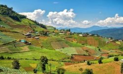 खेतीयोग्य जमिन बाँझो नराख्न आग्रह