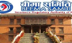 बिमा व्यवसायमा ठगी नगर्न समितिकाे निर्देशन
