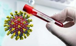 कोरोना कहरः भारतमा संक्रमितको संख्या १ लाख १८ हजार नाघ्यो