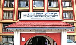 ८ लाख घरेलु ग्राहकलाई निःशुल्क विद्युत सेवा